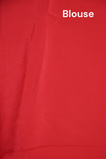 Exclusive Embroidery Pure Silk Chiffon AJ211872