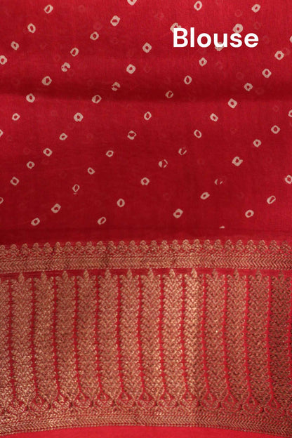 Exclusive Pure Chanderi Cotton Saree AL205638