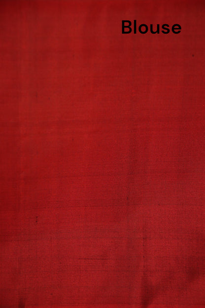 Handloom Exclusive Ikat Soft Silk Saree AJ207709