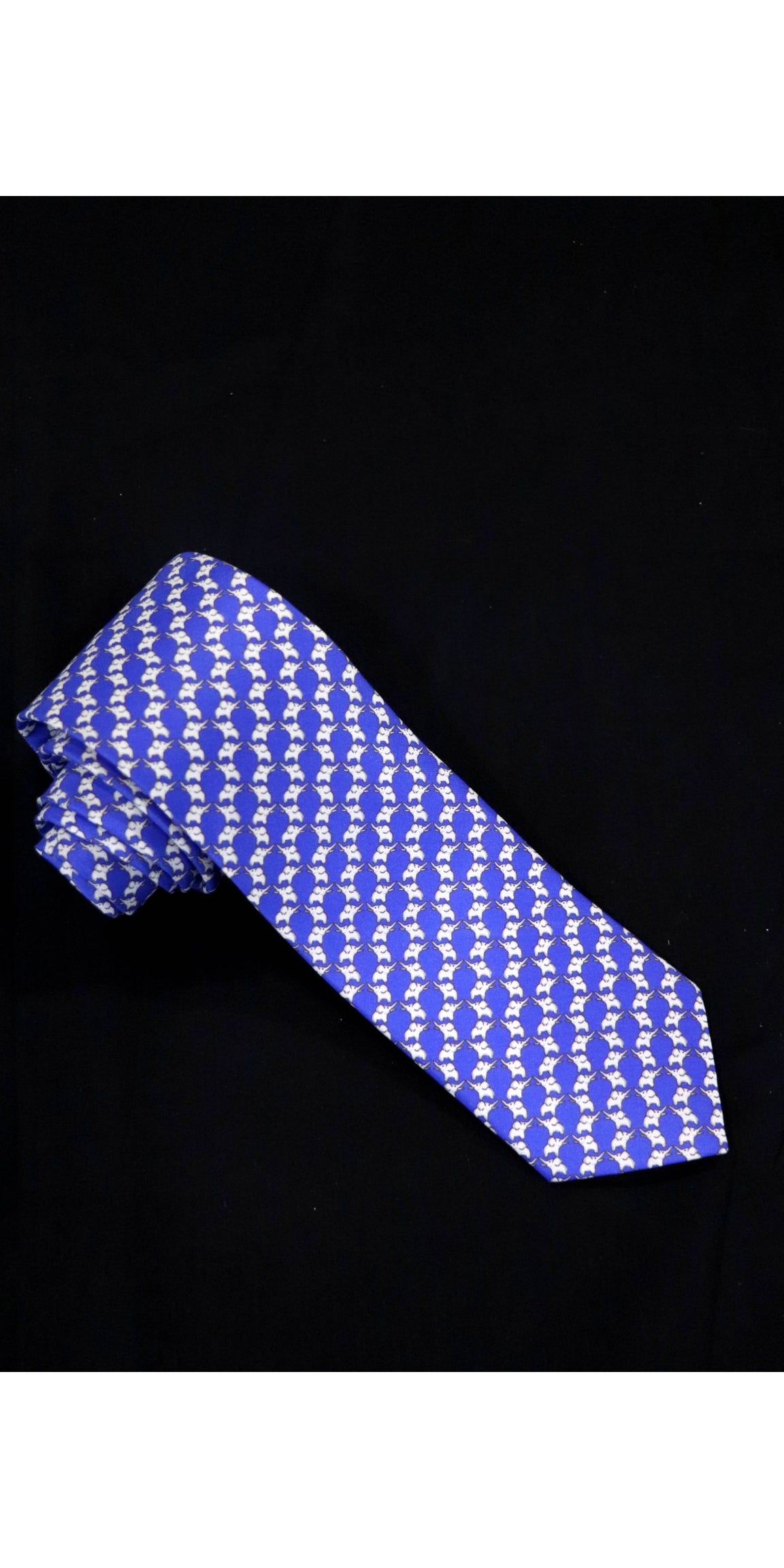 Exclusive Printed Pure Silk Tie AE202790