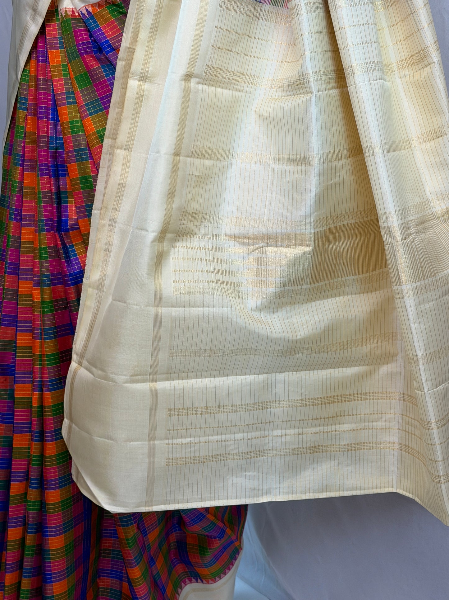 am203009 - pallu image