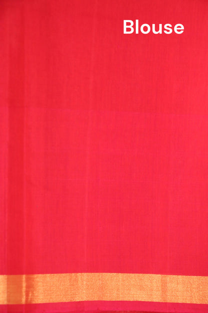 Handloom Pochampally Silk Cotton Saree AJ210249