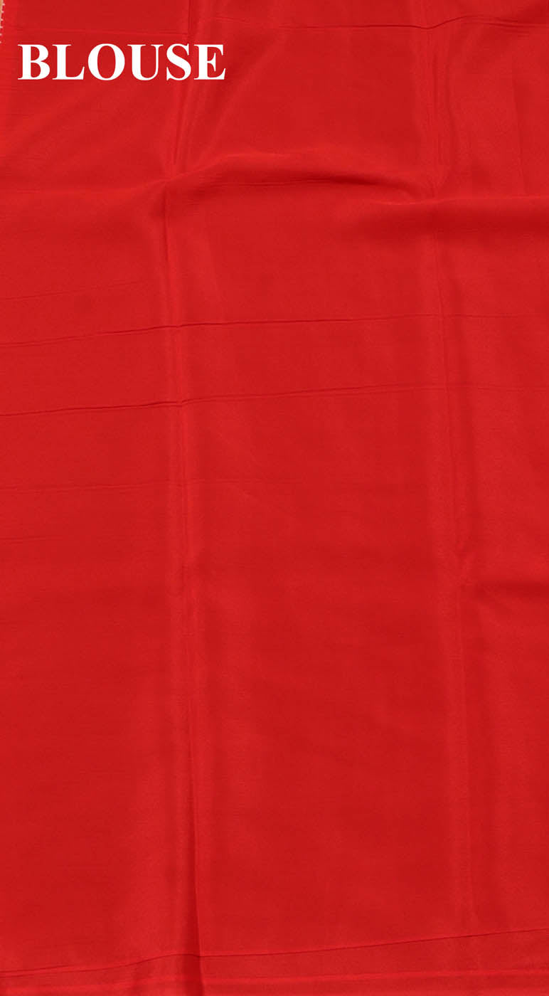 Exclusive Multicolor Pure Silk Chiffon Saree AG208231