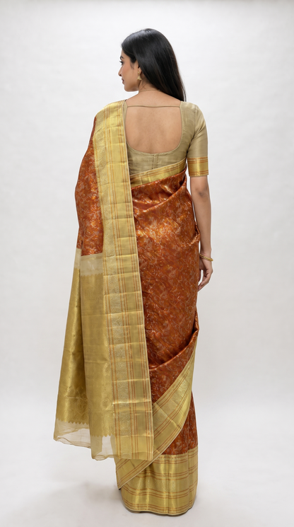 AM201191 - Back View