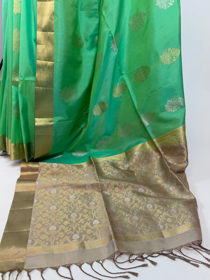 AM202420 - Pallu Image