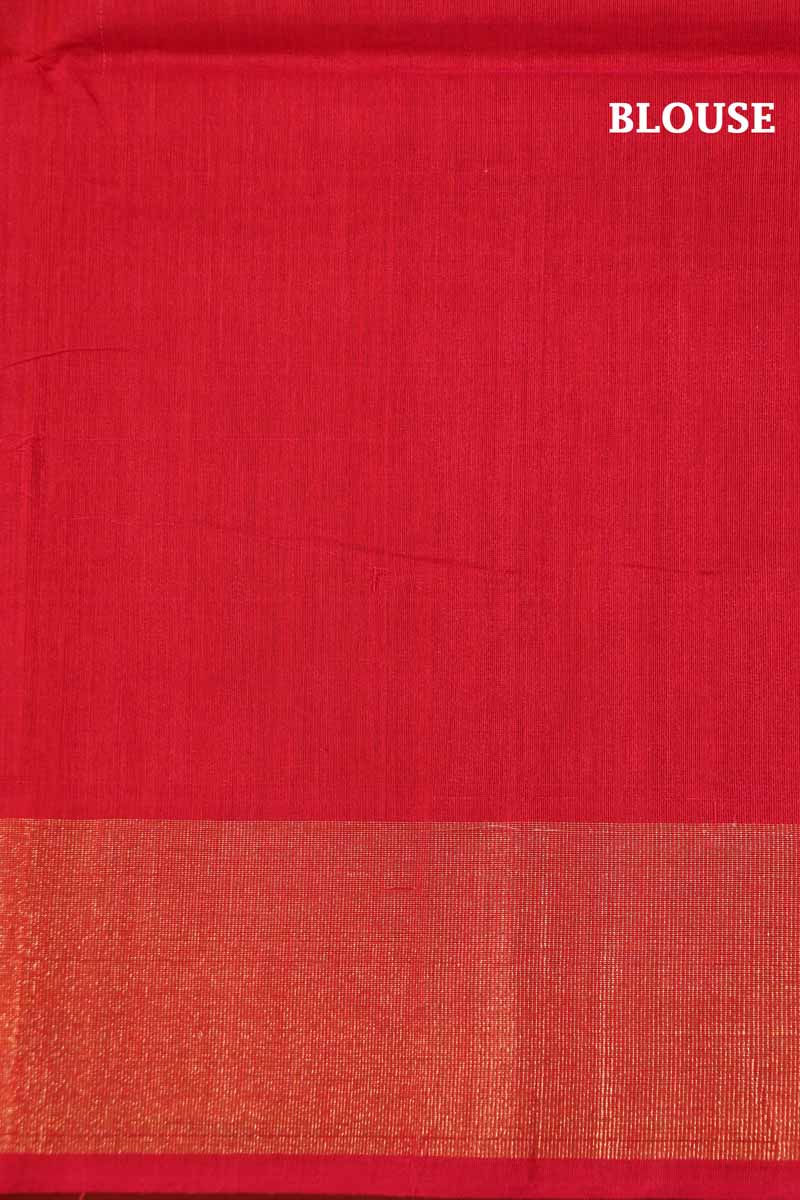 Handloom Pochampally Silk Cotton Saree AI200247