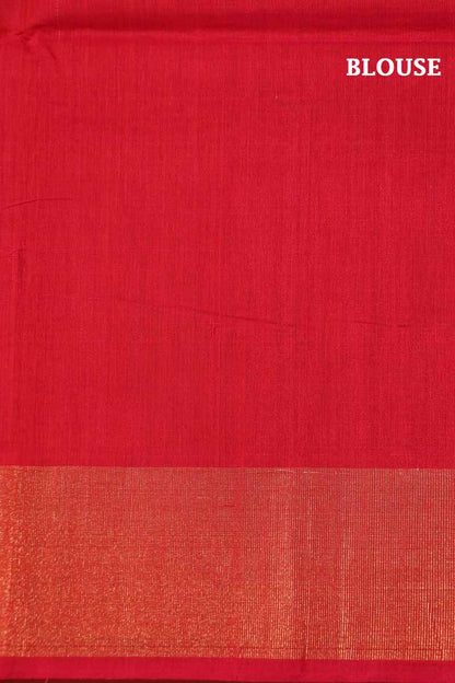 Handloom Pochampally Silk Cotton Saree AI200247