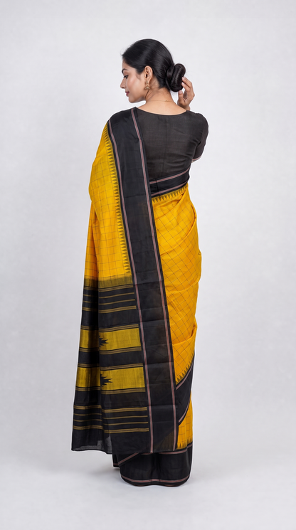 AL212537 - Back View