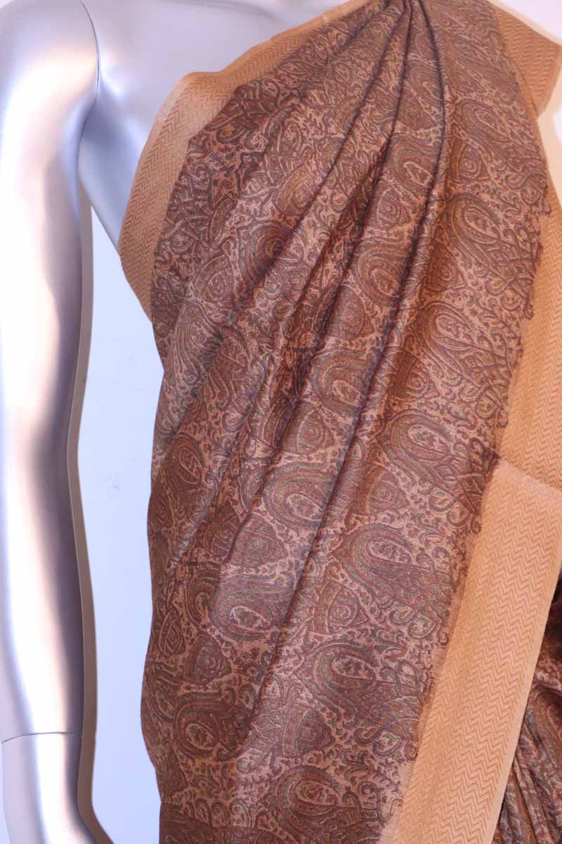 Exclusive Pure Soft Tussar Silk Saree AI201991