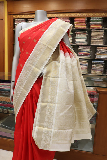 Al210031 - Pallu Image