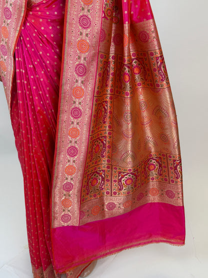 AL213976 - Pallu Image